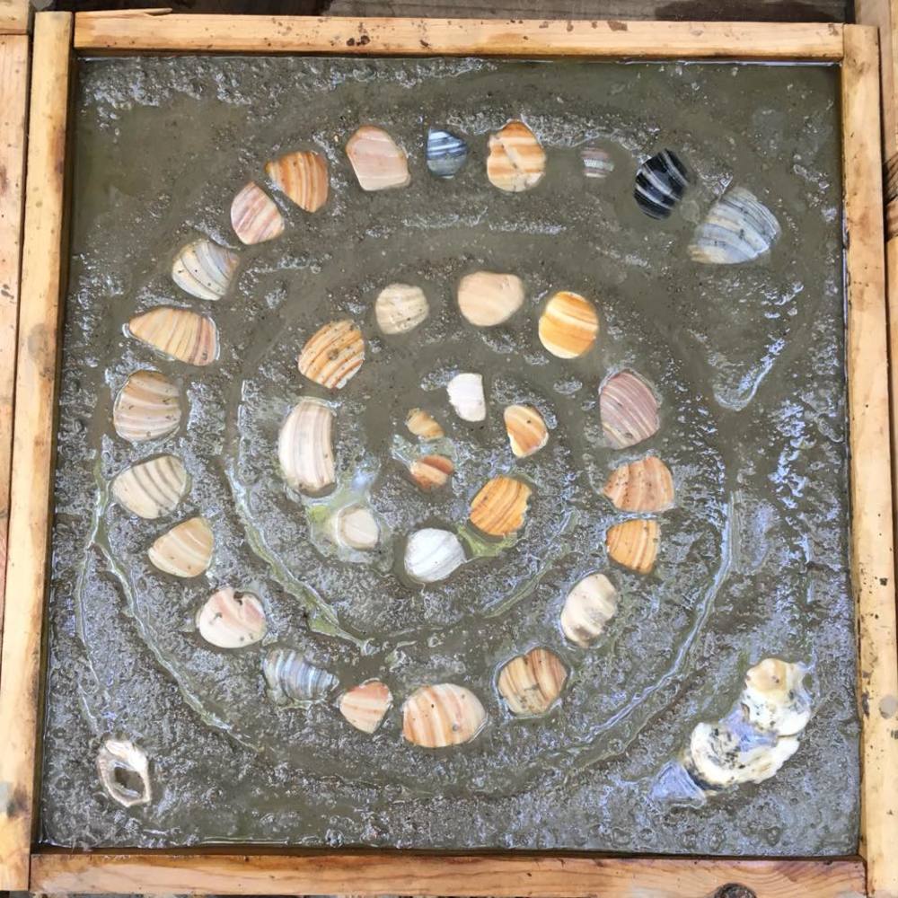 Meet your Posher, Shelly